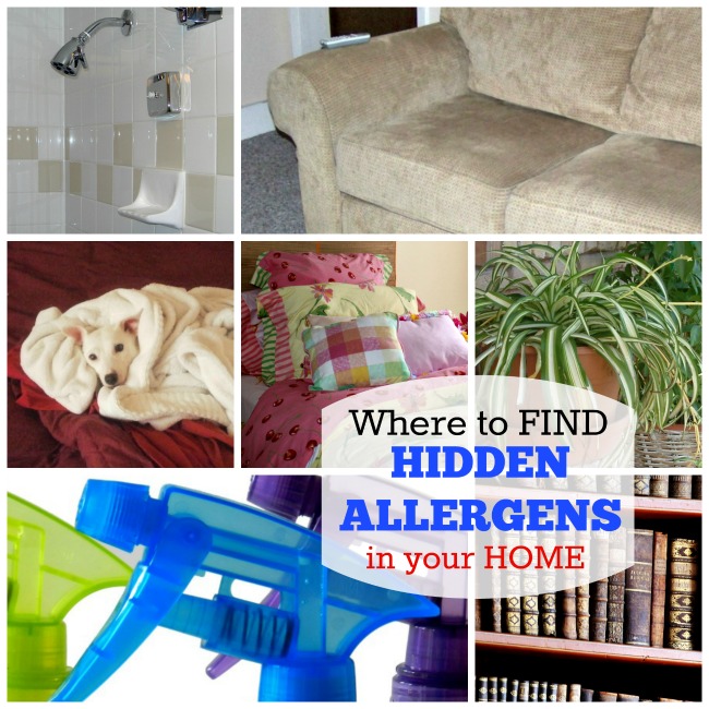 hidden indoor allergens