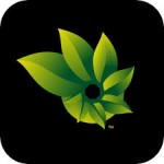 photosynth app