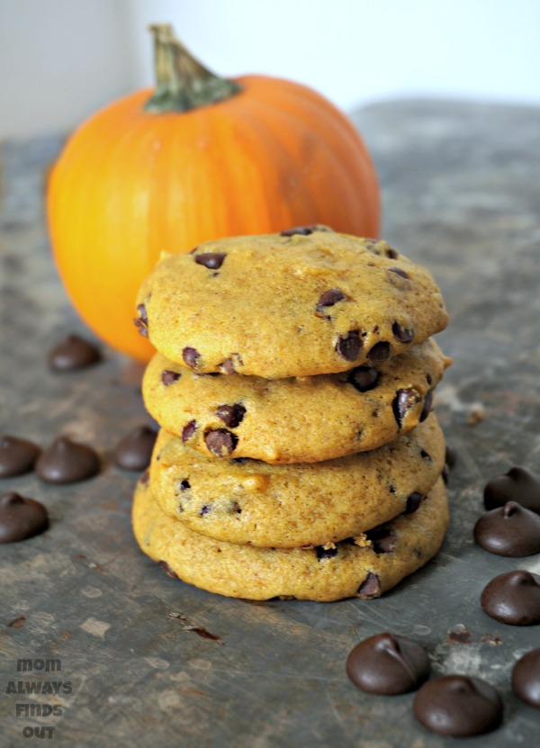 pumpkin chip cookies recipe
