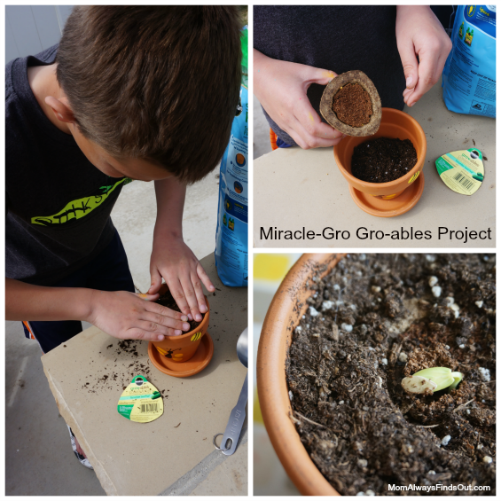 miracle #Groablesproject