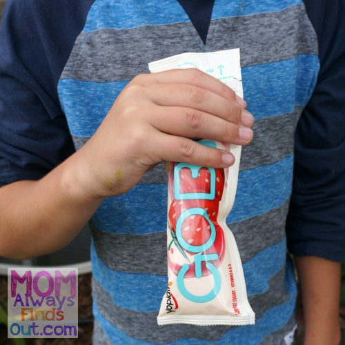 Snack ideas for tweens and teens Yoplait Go Big yogurt pouches