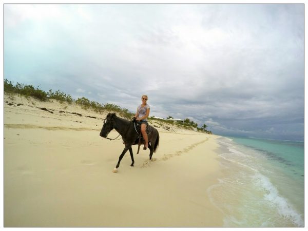 horse-on-beach