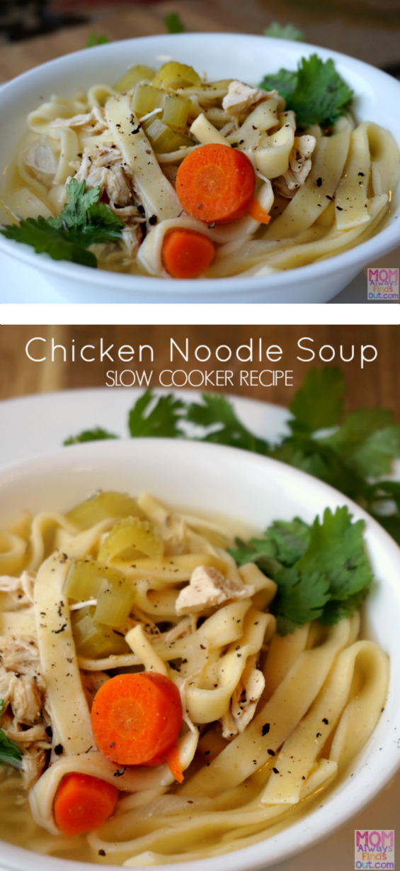 Easy Slow Cooker Chicken Noodle Soup Recipe