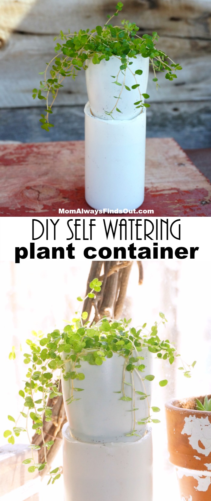 DIY Self Watering Plant Container Upcycling Plastic Bottle Craft Idea