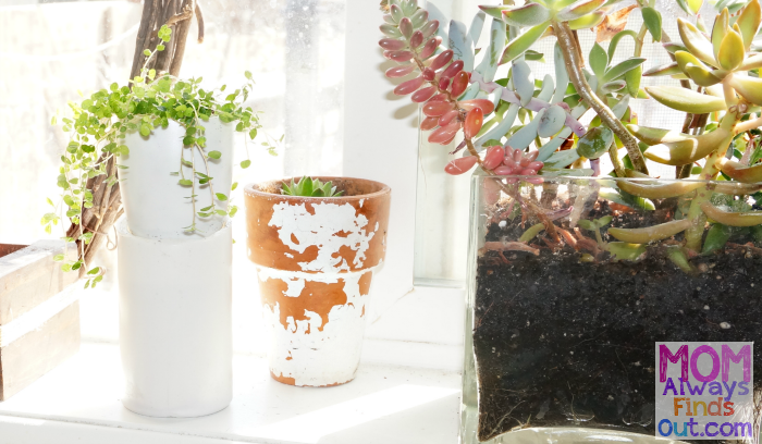 DIY Self Watering Plant Container