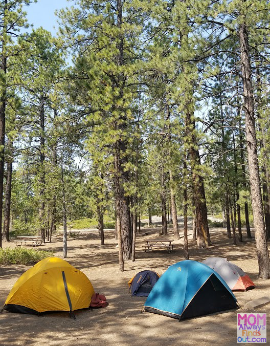 Bryce Canyon Camping