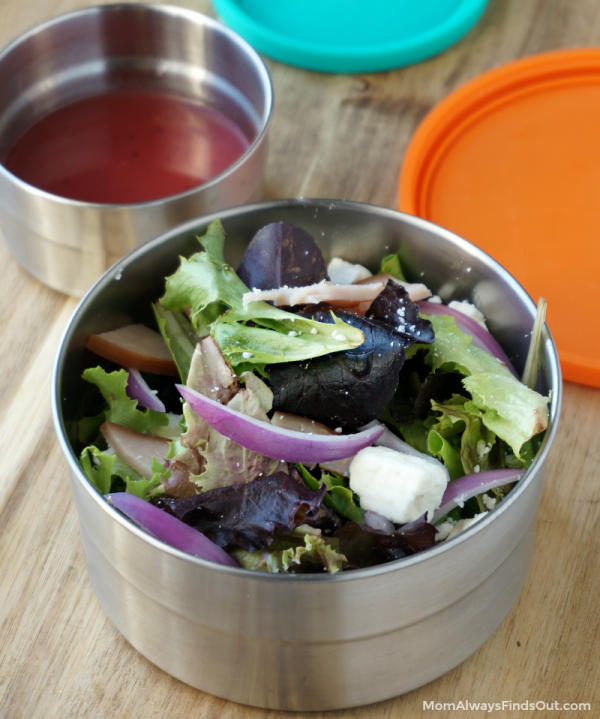 Turkey Cranberry Spring Mix Salad Recipe with Raspberry Vinaigrette