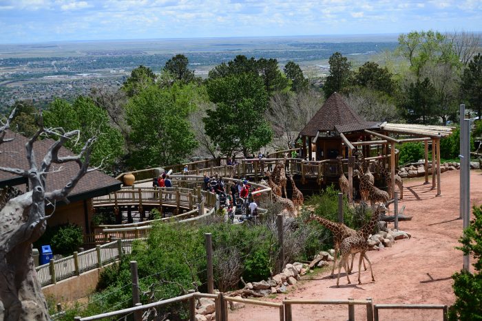 Colorado Vacation - Things To Do - Cheyenne Mountain Zoo