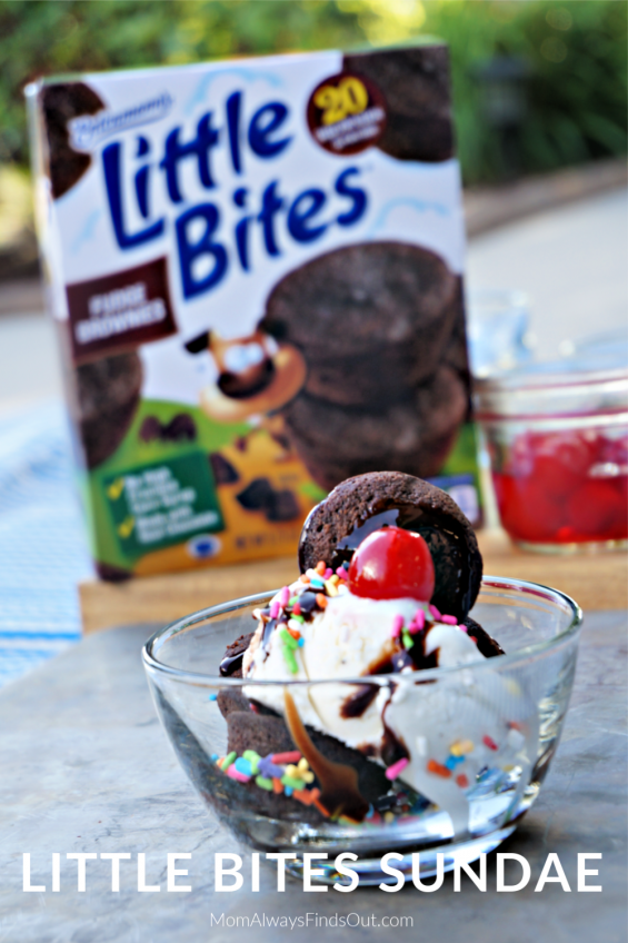 What toppings will you put on your Little Bites® Fudge Brownie ice cream sundae?#LoveLittleBites#Spongebash