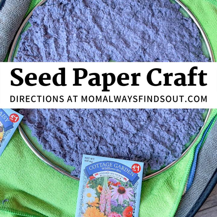 How To Make Plantable Paper - Flower Seed Paper Craft