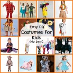 16 DIY Easy Costumes For Kids (No Sew!)
