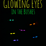 DIY Halloween Decorations - Glowing Eyes in the Bushes - Use glow sticks and TP rolls! Craft directions at @momfindsout