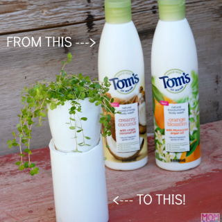 DIY Self Watering Plant Container