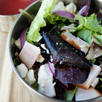 Turkey Cranberry Spring Mix Salad Recipe with Raspberry Vinaigrette