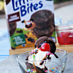 What toppings will you put on your Little Bites® Fudge Brownie ice cream sundae?#LoveLittleBites#Spongebash