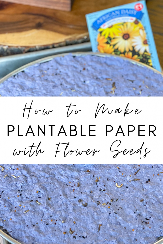 How to make Plantable Paper with Wildflower Seeds. DIY Seed Paper Craft Directions at Mom Always Finds Out